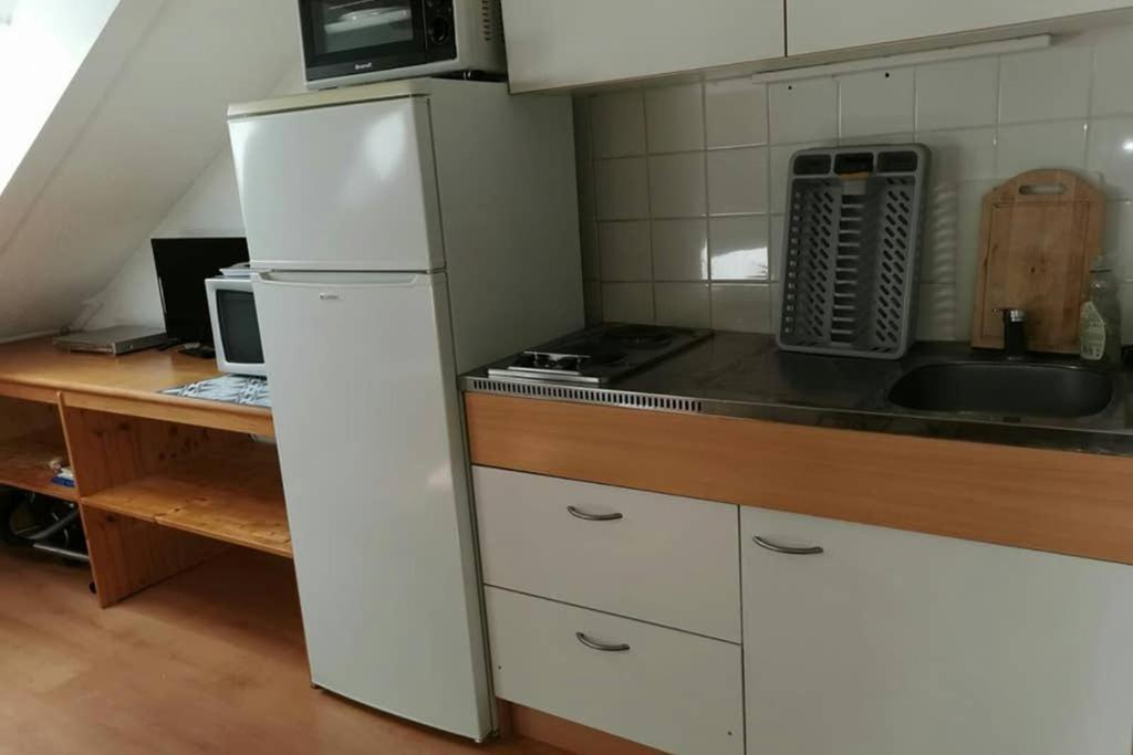 Petit Studio Mansarde 18 M2 Avec Navette Gratuit Aux Pistes De Ski Гресс-ан-Веркор Екстер'єр фото