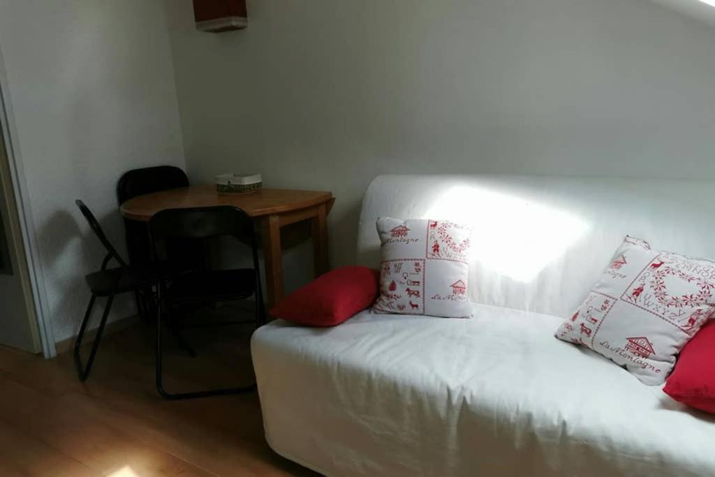 Petit Studio Mansarde 18 M2 Avec Navette Gratuit Aux Pistes De Ski Гресс-ан-Веркор Екстер'єр фото